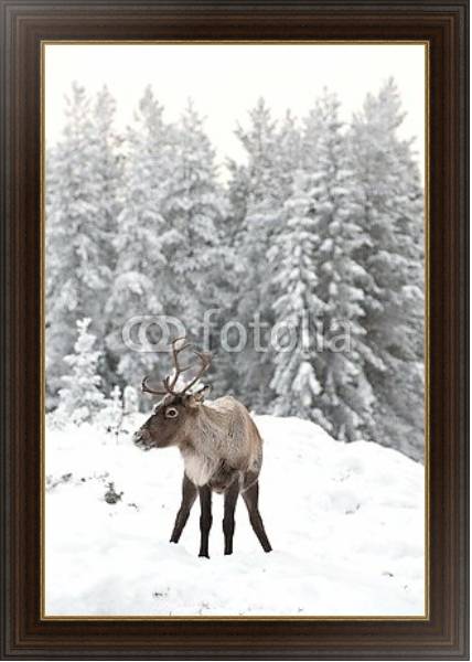 Постер Олень в снегу на фоне заснеженного леса с типом исполнения На холсте в раме в багетной раме 1.023.151