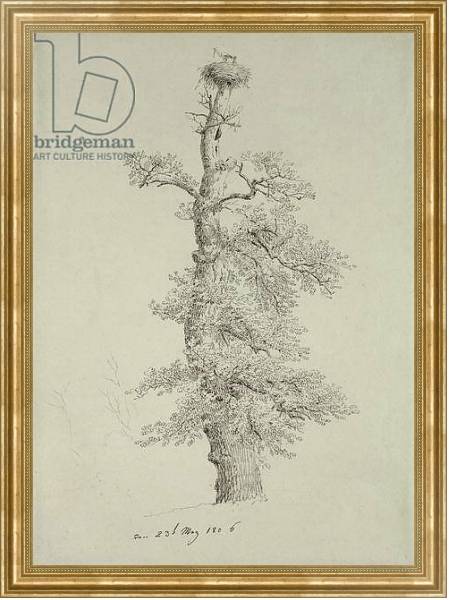 Постер Ancient Oak Tree with a Stork's Nest, 23rd May 1806 с типом исполнения На холсте в раме в багетной раме NA033.1.051
