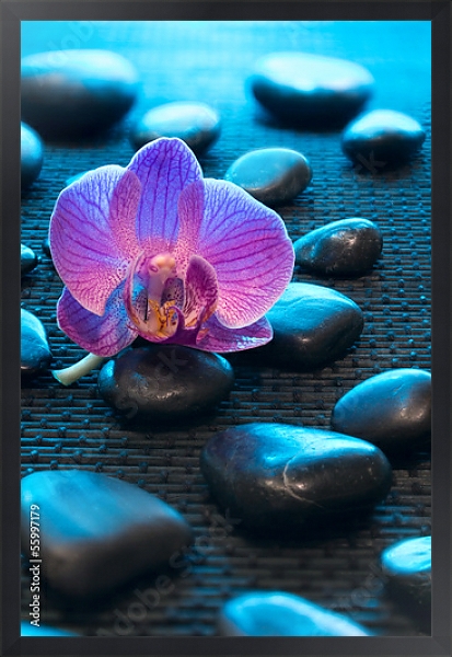 Постер Орхидея и камни 4 с типом исполнения На холсте в раме в багетной раме 1727.8010