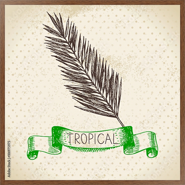 Постер Иллюстрация с пальмовым листом с типом исполнения На холсте в раме в багетной раме 1727.4310