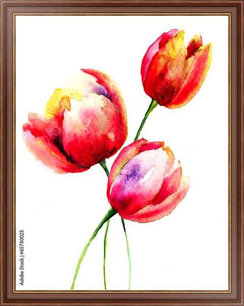 Постер Акварель. Красные тюльпаны с типом исполнения На холсте в раме в багетной раме 35-M719P-83