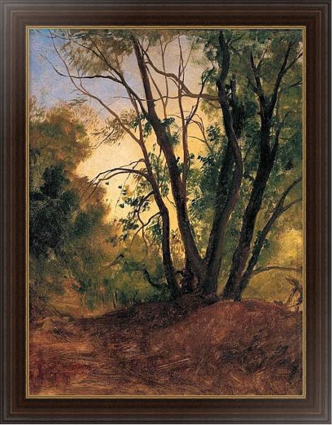 Постер Тропинка и деревья с типом исполнения На холсте в раме в багетной раме 1.023.151