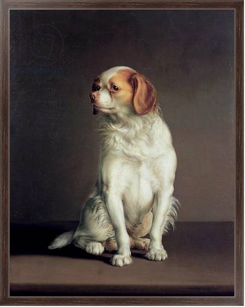 Постер Portrait of a King Charles Spaniel с типом исполнения На холсте в раме в багетной раме 221-02