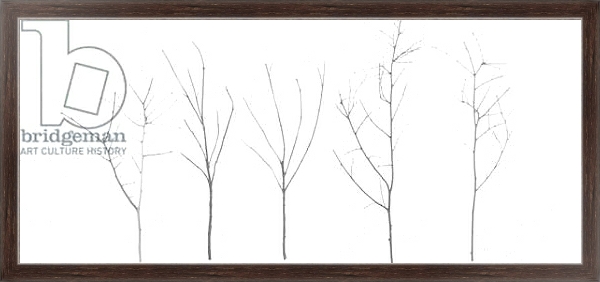 Постер Territori Innevati - cinque alberi giorno, 2012, photographic contamination с типом исполнения На холсте в раме в багетной раме 221-02