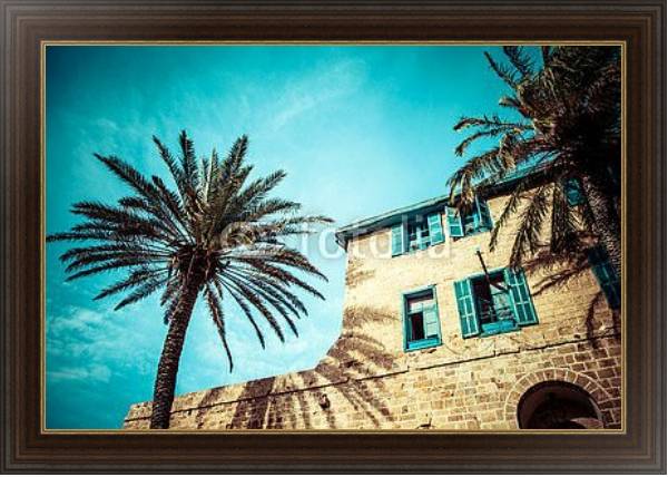 Постер Дом с пальмами в Яффо, на юге старой части Тель-Авива, Израиль с типом исполнения На холсте в раме в багетной раме 1.023.151