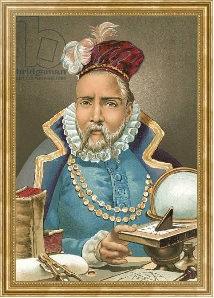 Постер Tycho Brahe с типом исполнения На холсте в раме в багетной раме NA033.1.051