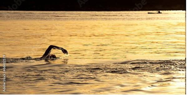 Постер Плавание в океане на закате, Сидней с типом исполнения На холсте без рамы