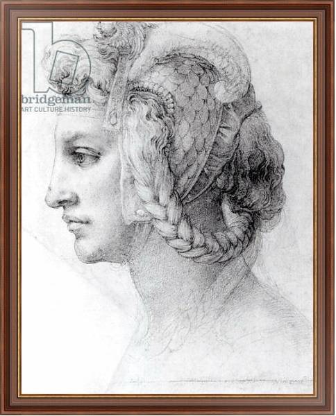 Постер Ideal Head of a Woman, c.1525-28 с типом исполнения На холсте в раме в багетной раме 35-M719P-83