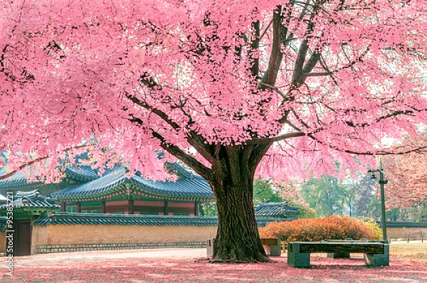 Постер Розовое дерево, Япония с типом исполнения На холсте без рамы