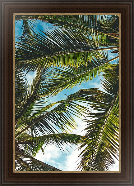 Постер Небо сквозь пальмовые листья с типом исполнения На холсте в раме в багетной раме 1.023.151