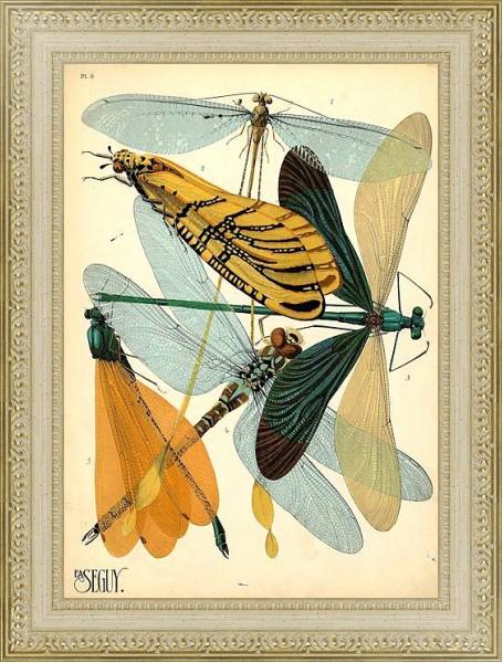 Постер Insects by E. A. Seguy №20 с типом исполнения Акварель в раме в багетной раме 484.M48.725