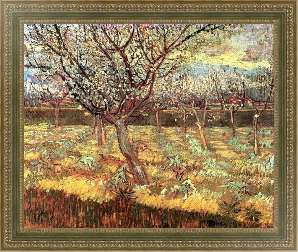 Постер Абрикосовые деревья в цвету с типом исполнения На холсте в раме в багетной раме 484.M48.640