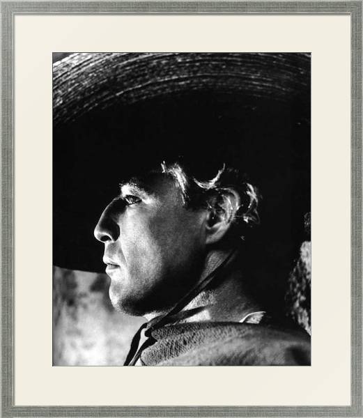 Постер Brando, Marlon (Viva Zapata) с типом исполнения Под стеклом в багетной раме 1727.2510