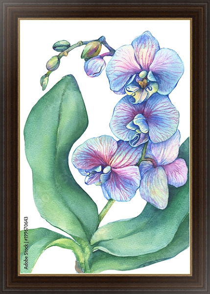 Постер Веточка цветущей тропической синей орхидеи  с типом исполнения На холсте в раме в багетной раме 1.023.151