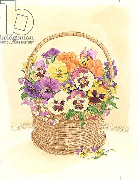 Постер Basket of Pansies, 1998 с типом исполнения На холсте без рамы