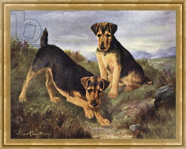 Постер Welsh Terriers Glansevin Coquette and Champion Glansevin Coda с типом исполнения На холсте в раме в багетной раме NA033.1.051