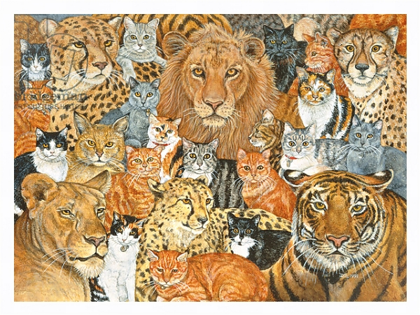 Постер Semi Wild Cat Spread с типом исполнения На холсте в раме в багетной раме 221-03