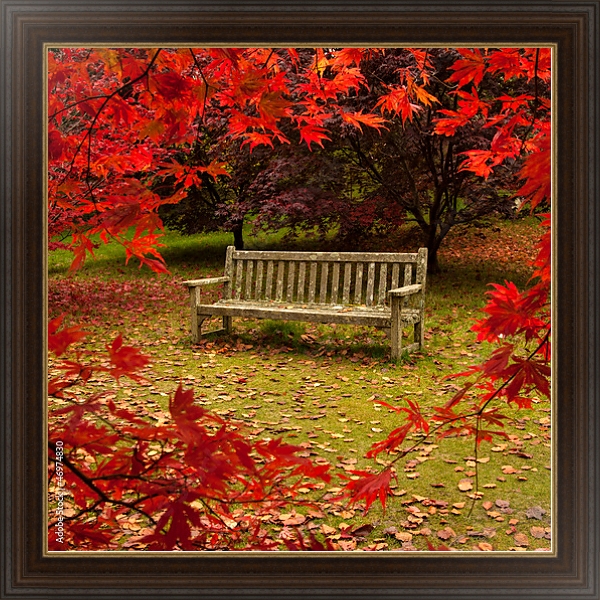 Постер Осень в парке 3 с типом исполнения На холсте в раме в багетной раме 1.023.151