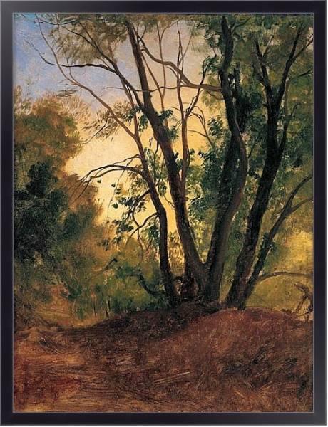 Постер Тропинка и деревья с типом исполнения На холсте в раме в багетной раме 221-01