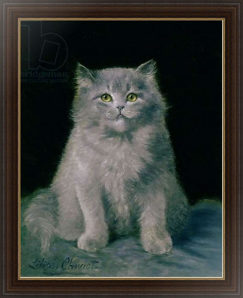 Постер Study of a cat с типом исполнения На холсте в раме в багетной раме 1.023.151