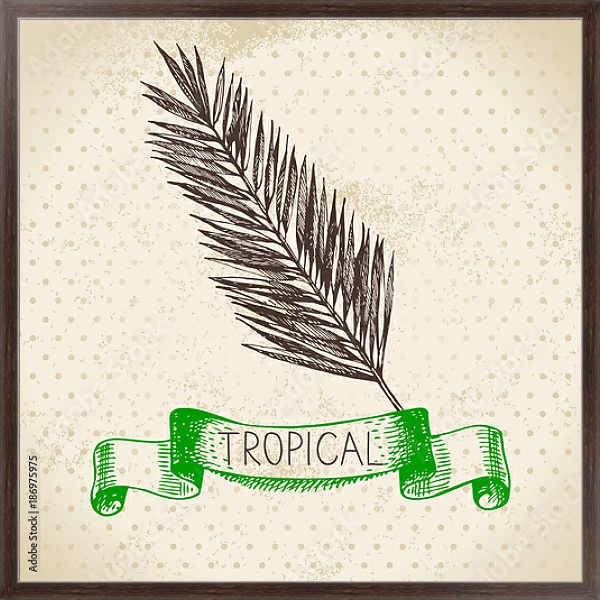 Постер Иллюстрация с пальмовым листом с типом исполнения На холсте в раме в багетной раме 221-02