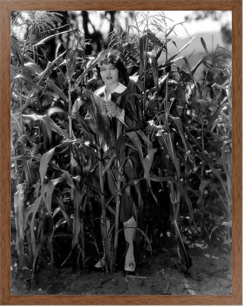 Постер Griffith, Corinne 11 с типом исполнения На холсте в раме в багетной раме 1727.4310