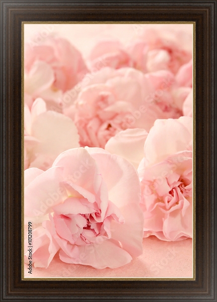 Постер Гвоздика розовая. Макро с типом исполнения На холсте в раме в багетной раме 1.023.151