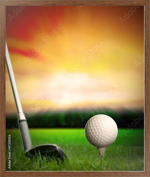 Постер Мяч для игры в гольф перед первым ударом с типом исполнения На холсте в раме в багетной раме 1727.4310
