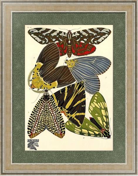 Постер Papillons by E. A. Seguy №6 с типом исполнения Акварель в раме в багетной раме 485.M40.584