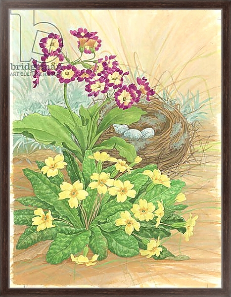 Постер Auricula, Primrose and Nest, 1998 с типом исполнения На холсте в раме в багетной раме 221-02