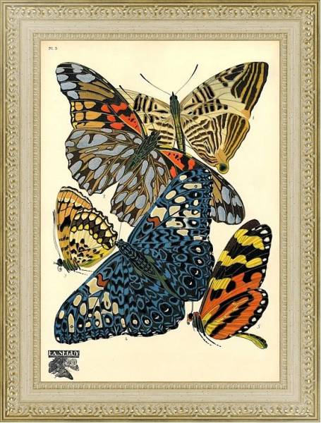 Постер Papillons by E. A. Seguy №14 с типом исполнения Акварель в раме в багетной раме 484.M48.725