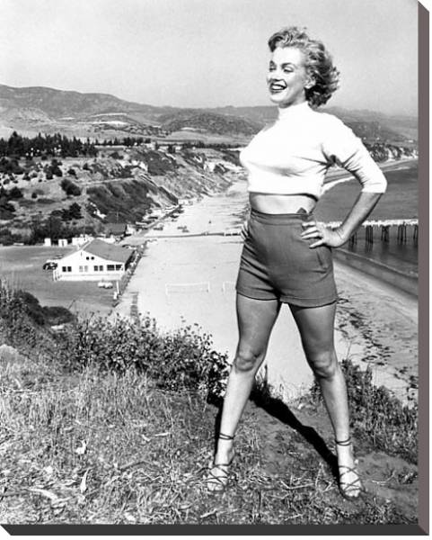 Постер Monroe, Marilyn 87 с типом исполнения На холсте без рамы