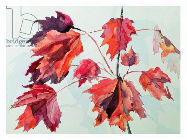 Постер No.24 Autumn Maple Leaves с типом исполнения На холсте в раме в багетной раме 221-03