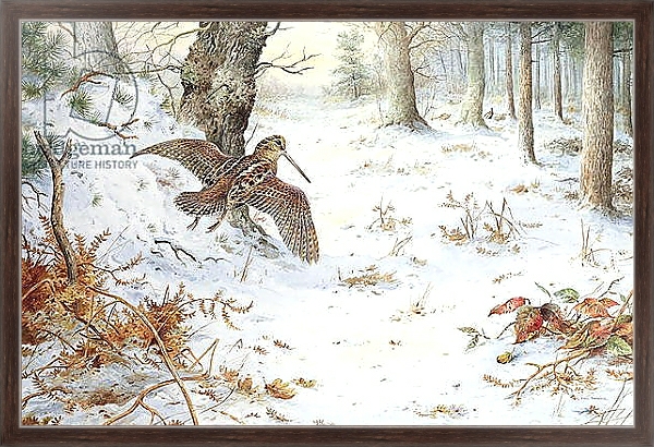 Постер Snipe in Wooded Landscape с типом исполнения На холсте в раме в багетной раме 221-02
