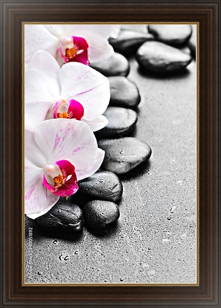 Постер Камни. Орхидеи с типом исполнения На холсте в раме в багетной раме 1.023.151