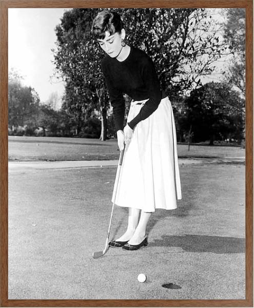 Постер Hepburn, Audrey 28 с типом исполнения На холсте в раме в багетной раме 1727.4310