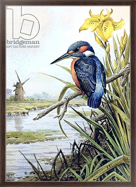 Постер Kingfisher with Flag Iris and Windmill с типом исполнения На холсте в раме в багетной раме 221-02
