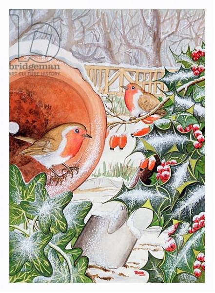Постер Christmas Robins 3 с типом исполнения На холсте в раме в багетной раме 221-03