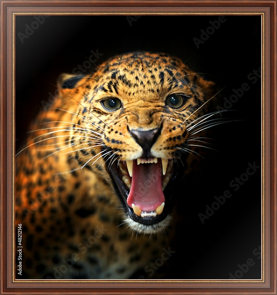 Постер Леопард 2 с типом исполнения На холсте в раме в багетной раме 35-M719P-83