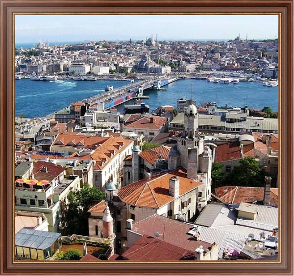 Постер Турция. Стамбул с типом исполнения На холсте в раме в багетной раме 35-M719P-83