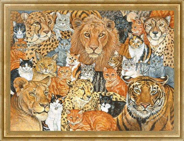 Постер Semi Wild Cat Spread с типом исполнения На холсте в раме в багетной раме NA033.1.051