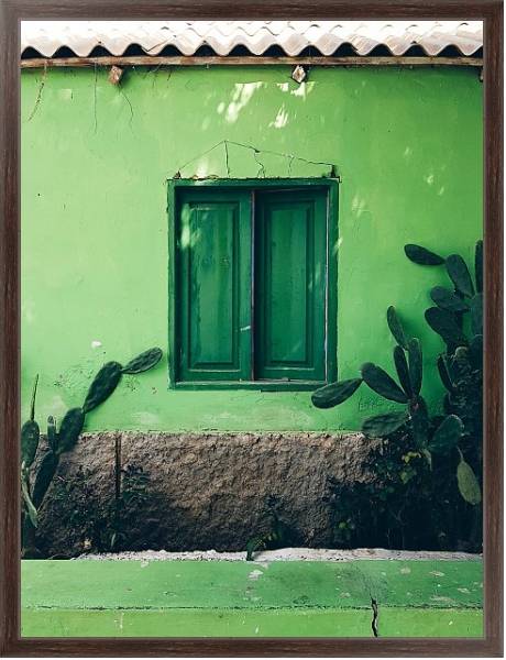 Постер Зеленый дом с кактусами с типом исполнения На холсте в раме в багетной раме 221-02