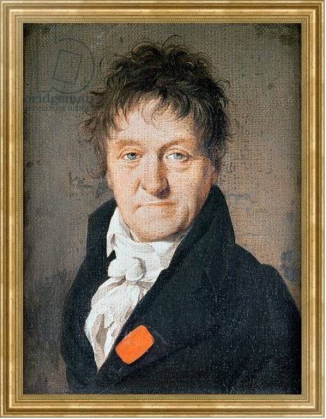 Постер Portrait of Lazare Nicolas Marguerite Carnot 1813 с типом исполнения На холсте в раме в багетной раме NA033.1.051