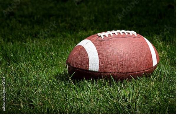 Постер Мяч для регби на траве с типом исполнения На холсте без рамы