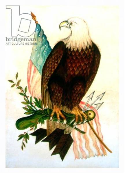 Постер Bald eagle with flag с типом исполнения На холсте в раме в багетной раме 221-03