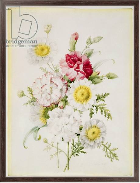 Постер Bunch of Mixed Carnations and White Marigolds, 1839 с типом исполнения На холсте в раме в багетной раме 221-02