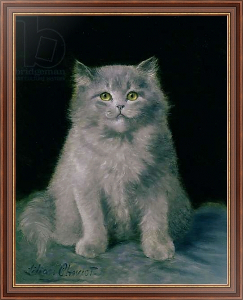 Постер Study of a cat с типом исполнения На холсте в раме в багетной раме 35-M719P-83