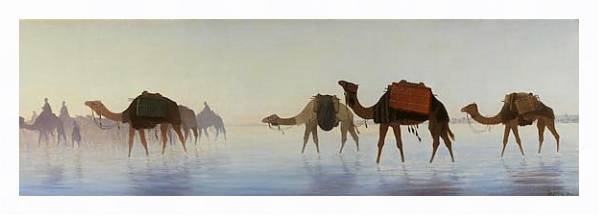 Постер Верблюды, пересекающие воду с типом исполнения На холсте в раме в багетной раме 221-03