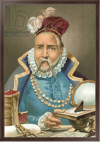 Постер Tycho Brahe с типом исполнения На холсте в раме в багетной раме 221-02