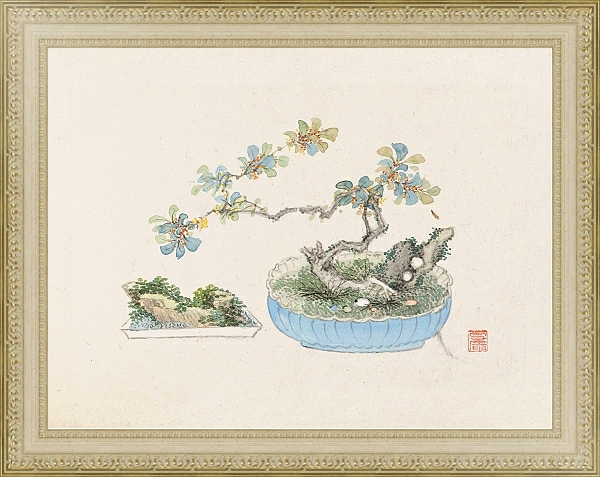 Постер Bonsai kabenzu, Pl.22 с типом исполнения Акварель в раме в багетной раме 484.M48.725
